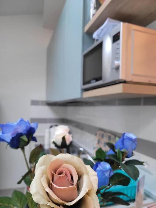 Casa Fiori Blu - Figline Valdarno Apartment Ngoại thất bức ảnh