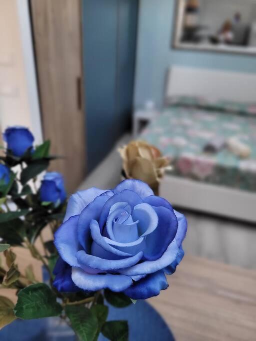 Casa Fiori Blu - Figline Valdarno Apartment Ngoại thất bức ảnh